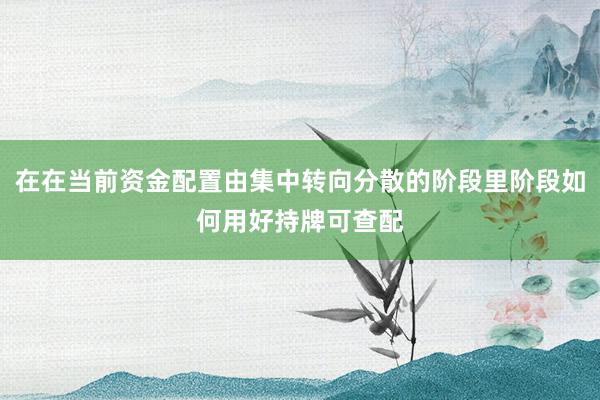在在当前资金配置由集中转向分散的阶段里阶段如何用好持牌可查配