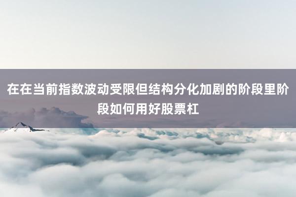 在在当前指数波动受限但结构分化加剧的阶段里阶段如何用好股票杠